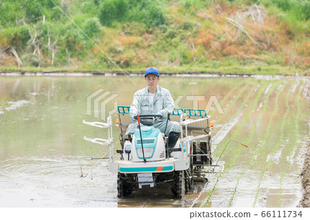 一個農民經營水稻插秧機 一個農民經營水稻插秧機 66111734