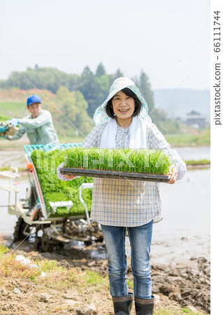 Farmers who support the Japanese agricultural industry Farmers who support the Japanese agricultural industry 66111744
