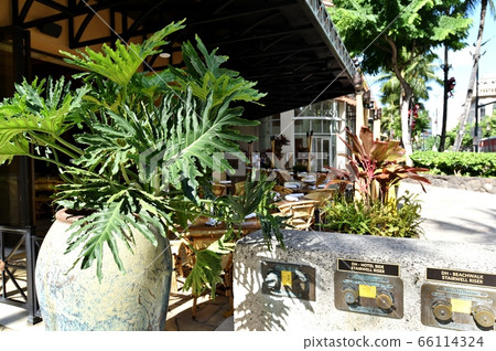 Holidays in Hawaii Holidays in Hawaii 66114324