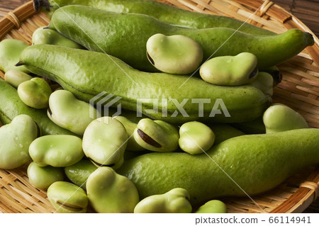 Fresh broad bean on the colander Fresh broad bean on the colander 66114941