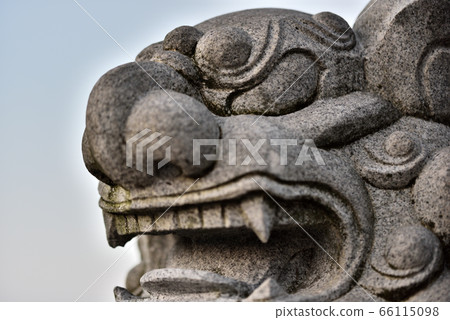 駒狗 獅子 照片素材 圖片 圖庫