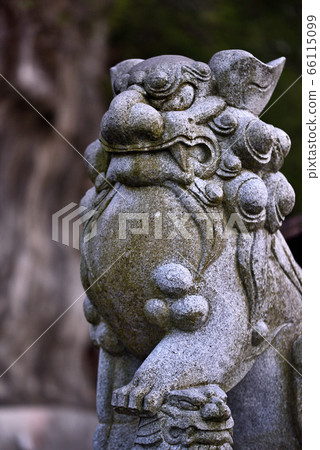 Guardian dog 66115099