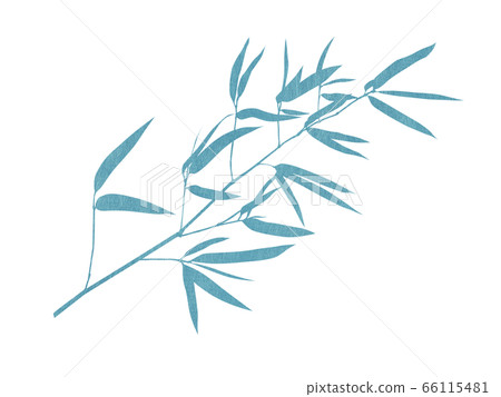 Bamboo silhouette material 66115481