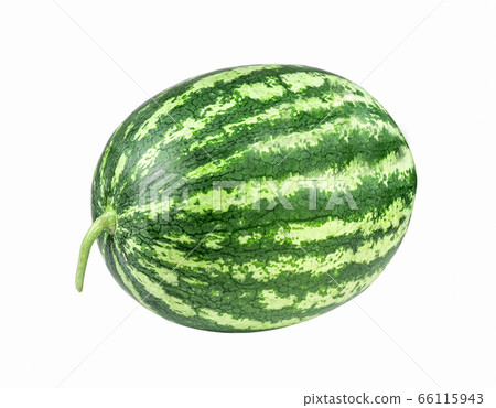 whole watermelon isolated on white background. whole watermelon isolated on white background. 66115943