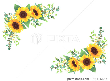 Frame decorated with sunflowers and various plants 66116634