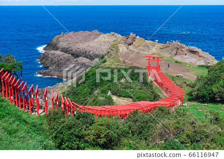 在日本山口縣長門市的藍色海襯有紅色牌坊大門的元智海神社（元智稻荷神社） 66116947