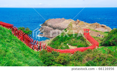 在日本山口縣長門市藍色海為背景的紅色鳥居門的元之見神社（Motonosumi Inari Shrine） 66116956