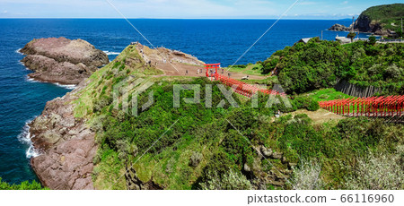 在日本山口縣長門市的藍色海襯有紅色牌坊大門的元智海神社（元智稻荷神社） 66116960