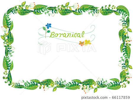 Scandinavian botanical botanical frame (box) Scandinavian botanical botanical frame (box) 66117859