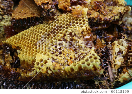 Sorghum Honey Bees Beauty Health Whitening Whitening Immunity Enhancement Sorghum Honey Bees Beauty Health Whitening Whitening Immunity Enhancement 66118199