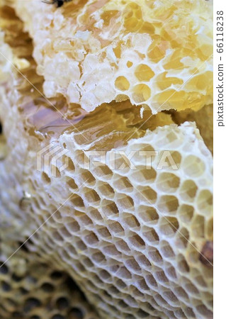 Sorghum Honey Bees Beauty Health Whitening Whitening Immunity Enhancement Sorghum Honey Bees Beauty Health Whitening Whitening Immunity Enhancement 66118238