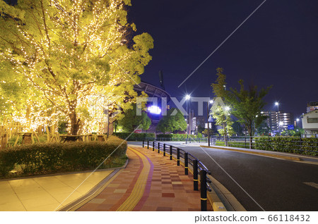 馬自達Zoom-Zoom體育館廣島(馬自達體育館)夜間的鯉魚路和鯉魚之家 馬自達Zoom-Zoom體育館廣島(馬自達體育館)夜間的鯉魚路和鯉魚之家 66118432