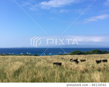 大崎牧場上的許多潛水船 66118582