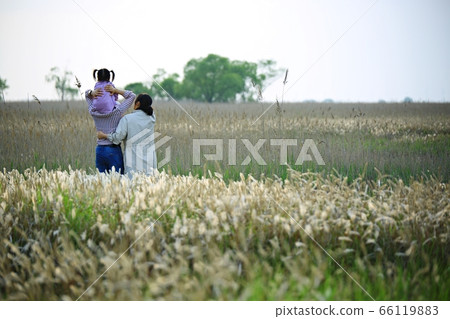 自然生態，美麗的大自然，水島 66119883