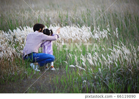 Natural Ecology, Beautiful Nature, Water Island Natural Ecology, Beautiful Nature, Water Island 66119890