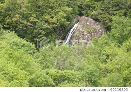 大倉瀑布 66119893