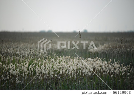 自然生態,美麗的大自然,水島 自然生態,美麗的大自然,水島 66119908