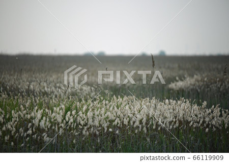 自然生態,美麗的大自然,水島 自然生態,美麗的大自然,水島 66119909