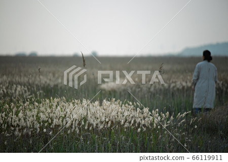 自然生態，美麗的大自然，水島 66119911