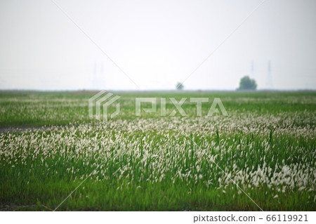 Natural Ecology, Beautiful Nature, Water Island Natural Ecology, Beautiful Nature, Water Island 66119921
