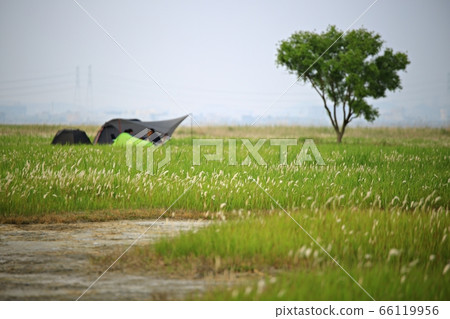 Natural Ecology, Beautiful Nature, Water Island 66119956