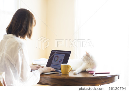Telework young woman and cat relaxing 66120794