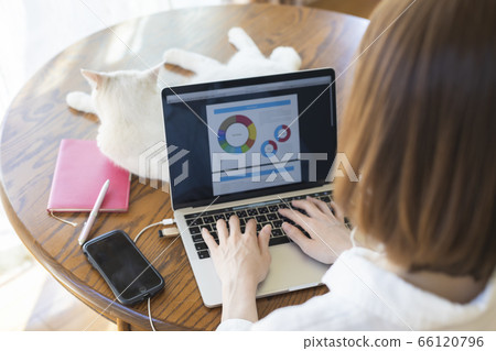遠程辦公的年輕女子和貓放鬆 66120796