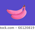 Pink banana 66120819