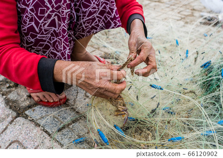 Hands of the old fisherman untangles fishing nets, Nha Trang Hands of the old fisherman untangles fishing nets, Nha Trang 66120902