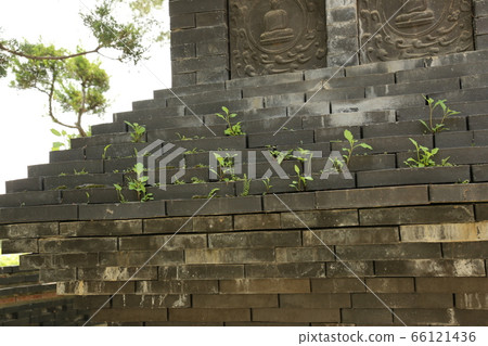城北區,城陵洞,花園,花朵 城北區,城陵洞,花園,花朵 66121436