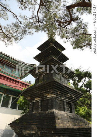城北區,城陵洞,花園,花朵 城北區,城陵洞,花園,花朵 66121437