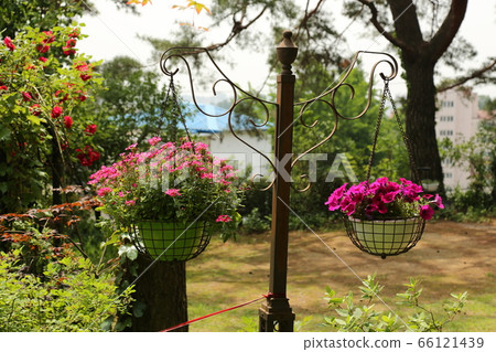城北區，城陵洞，花園，花朵 66121439