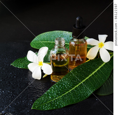 small glass jars with oil and Frangipani Plumeria 66121597