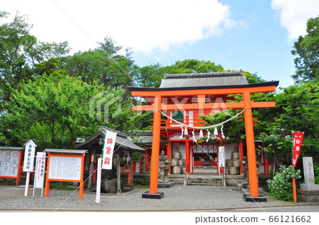 Torii and fresh greenery of Soshu Kasuga Shrine, Totsuka Ward, Yokohama City Torii and fresh greenery of Soshu Kasuga Shrine, Totsuka Ward, Yokohama City 66121662