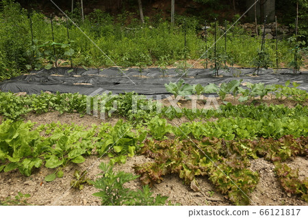 城北區，正陵洞，Borim水手，神廟 66121817