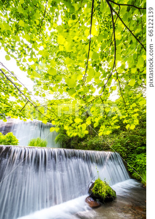 Fresh green, clear stream, and eco image that you can feel at Kitanizawa mountain stream Fresh green, clear stream, and eco image that you can feel at Kitanizawa mountain stream 66122139