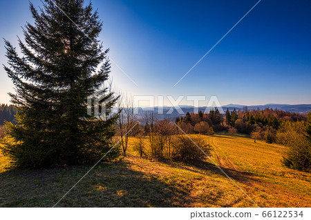 Mountainous landscape with forests at sunset. 66122534