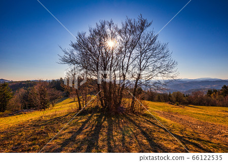 Mountainous landscape with trees at sunset. 66122535