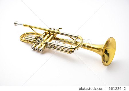 Trumpet 66122642