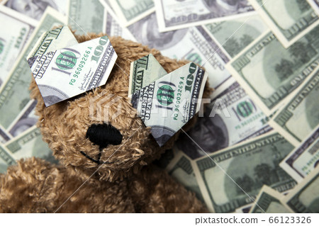 image of toy bear money background  66123326