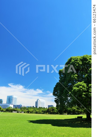 Aozora公園 66123474