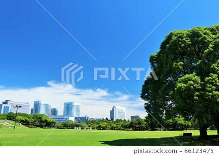 Aozora公園 Aozora公園 66123475