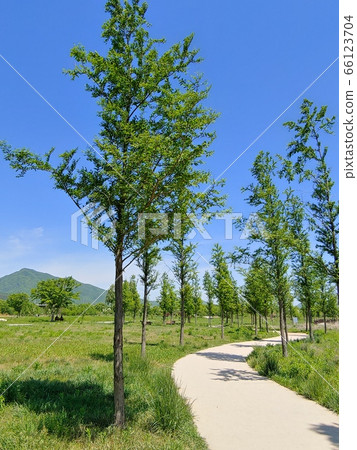 Landscape,nature,landscape,landscape,park,yangshui,yangpyeong,two heads,two heads,mountain,trees,forest,field,river,sky 66123704