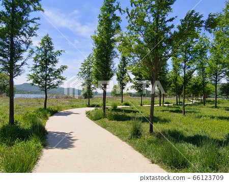 景觀，自然，景觀，景觀，公園，陽水，楊平，兩個頭，兩個頭，山，樹木，森林，字段，河，天空 66123709