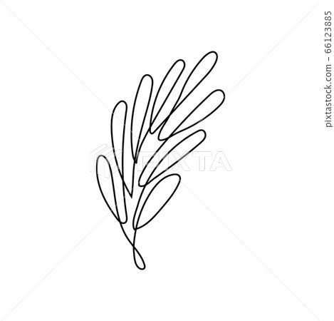 Leaf line art.  66123885