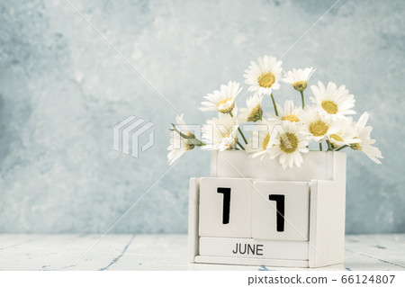 White cube calendar for june decorated with daisy White cube calendar for june decorated with daisy 66124807