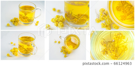 Collage photos, helichrysum yellow flowers medicinal plant 66124963