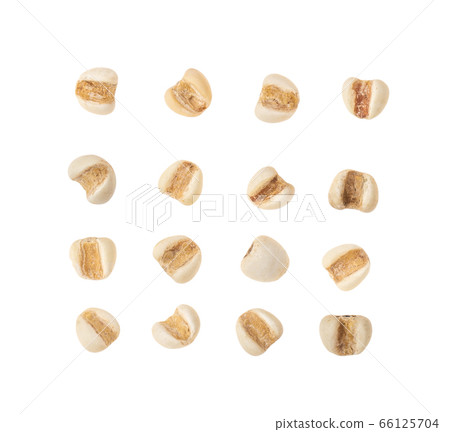 Job's tears on white background. top view 66125704