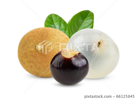 Longan  with leaf isolated on white 66125845