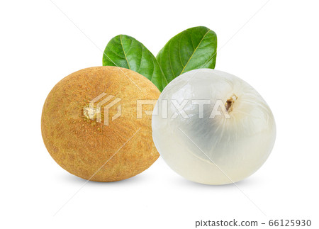 Longan  with leaf isolated on white 66125930